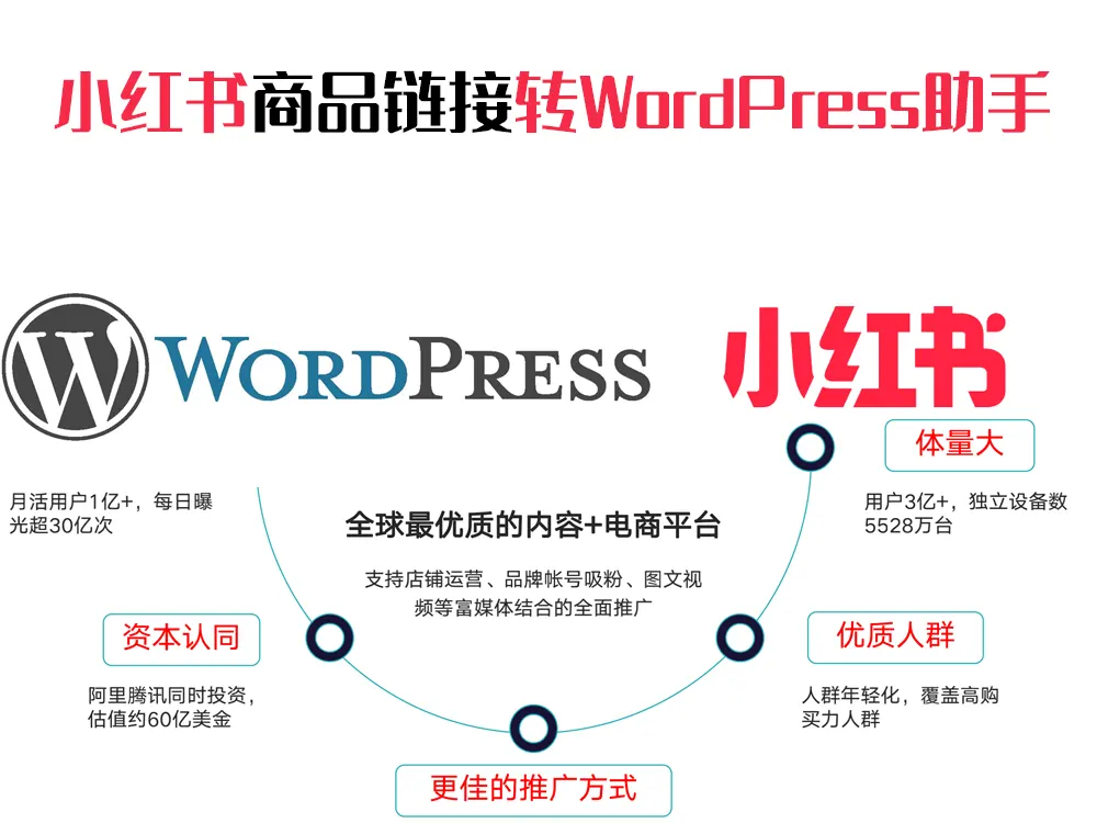 小红书商品链接转WordPress助手-大鱼社区 — 自动化办公，让每一分钟都更有价值